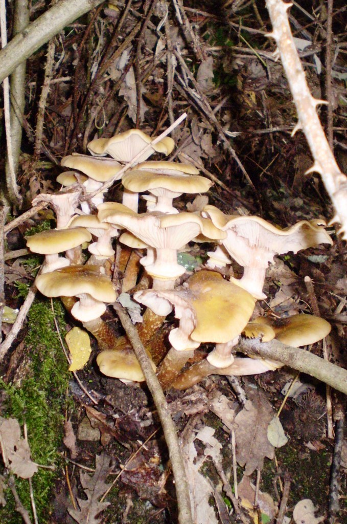 escursione 02 ottobre